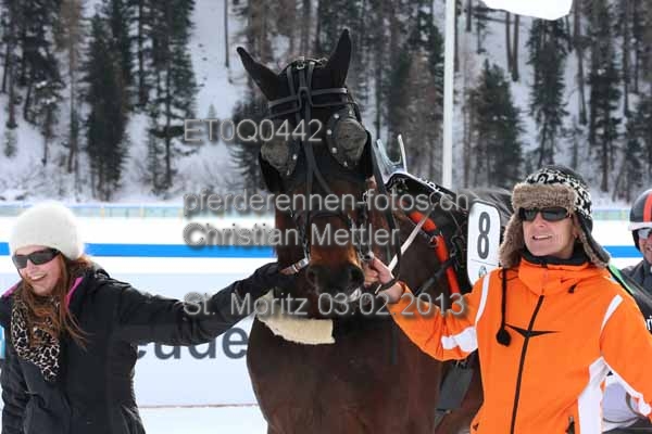 ET0Q0442 prot